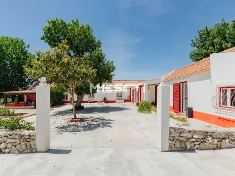 Quinta T4
