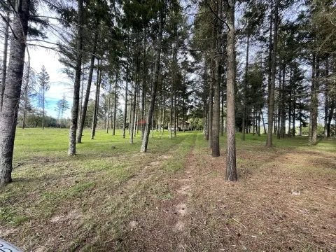 Quinta da Tapada / Teixugueira