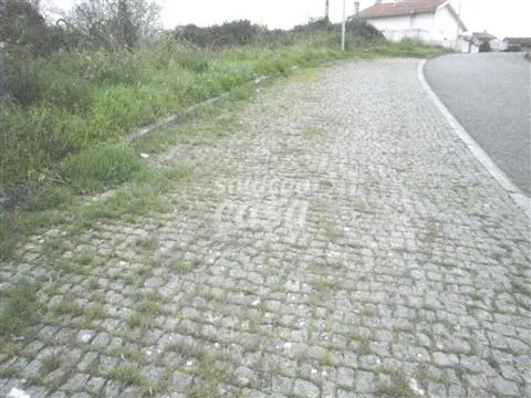 Lotissement de terrain