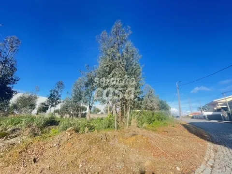 Terreno com 733m2, localizado próximo do Centro de Canelas!