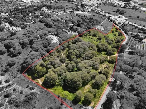 Rustic Land, Porches, Lagoa