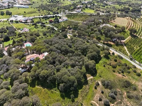 Rustic Land, Porches, Lagoa