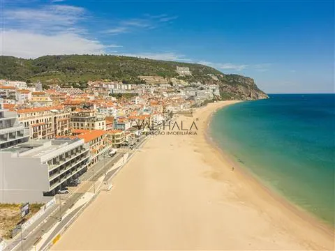 Apartamiento 1 habitación