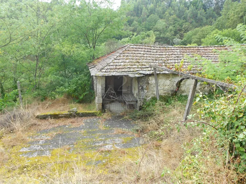 Малая ферма T3