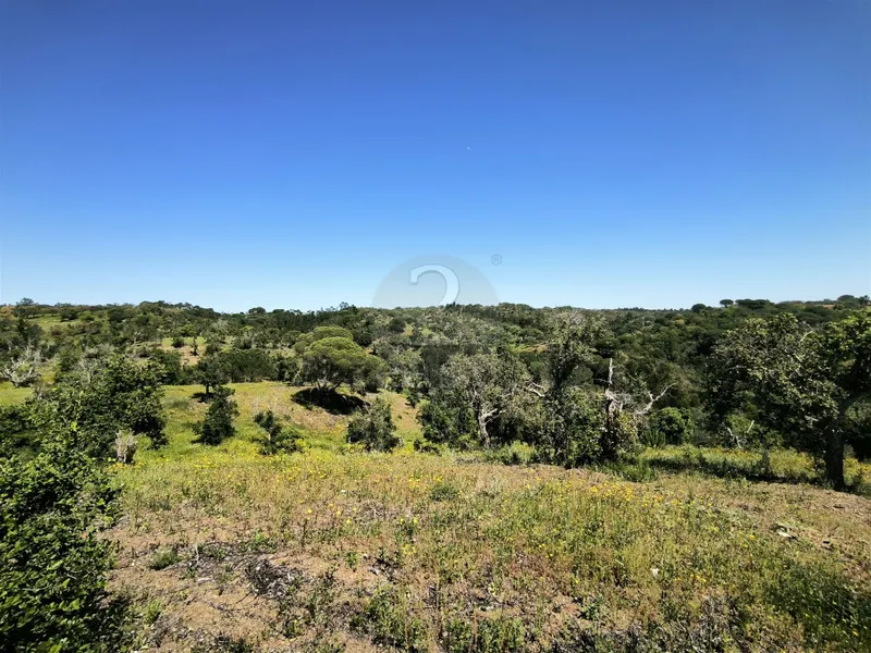 Terreno rústico con 11,95ha con factibilidad de construcción en la Costa del Alentejo