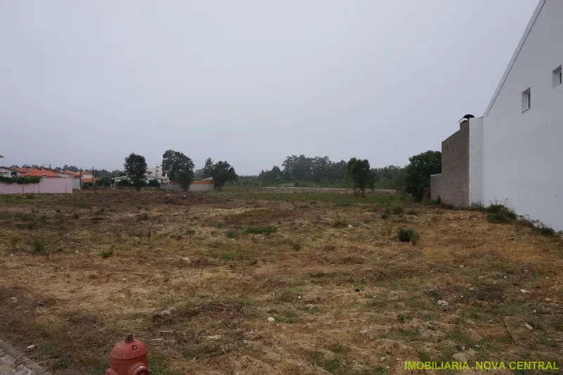 Lotissement de terrain