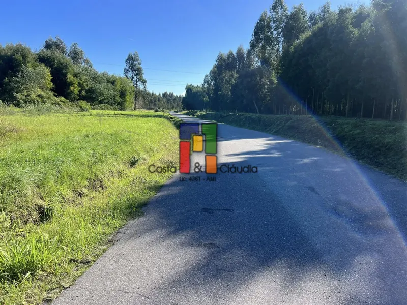 Real Estate building