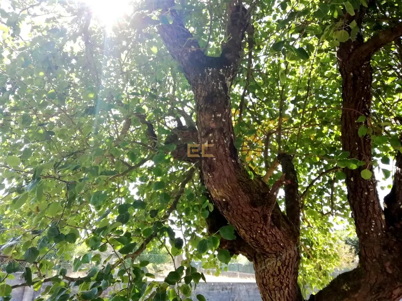 Terreno per Costruzione