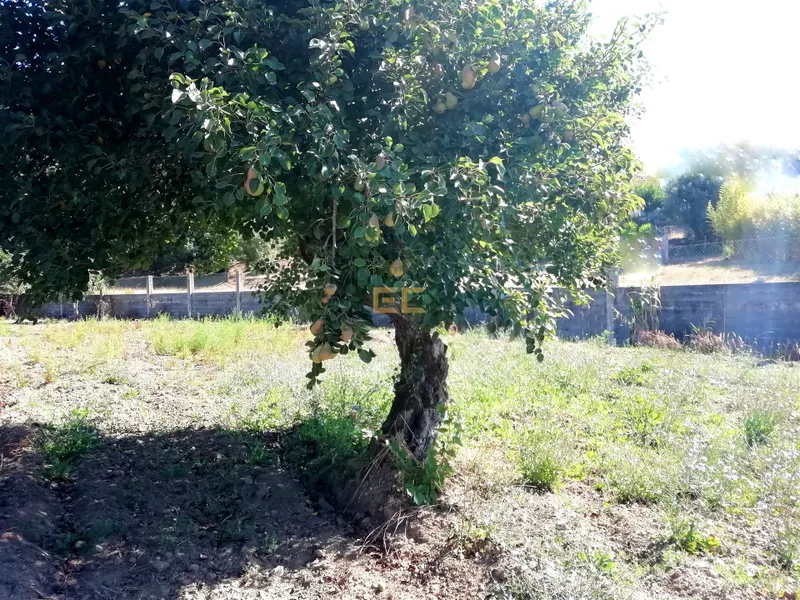 Terreno per Costruzione