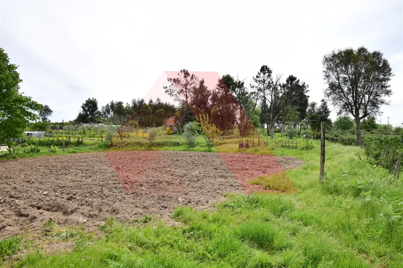 Lote de Terreno