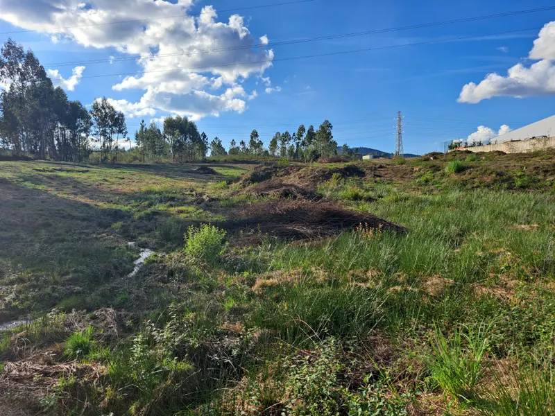 Industrial Area