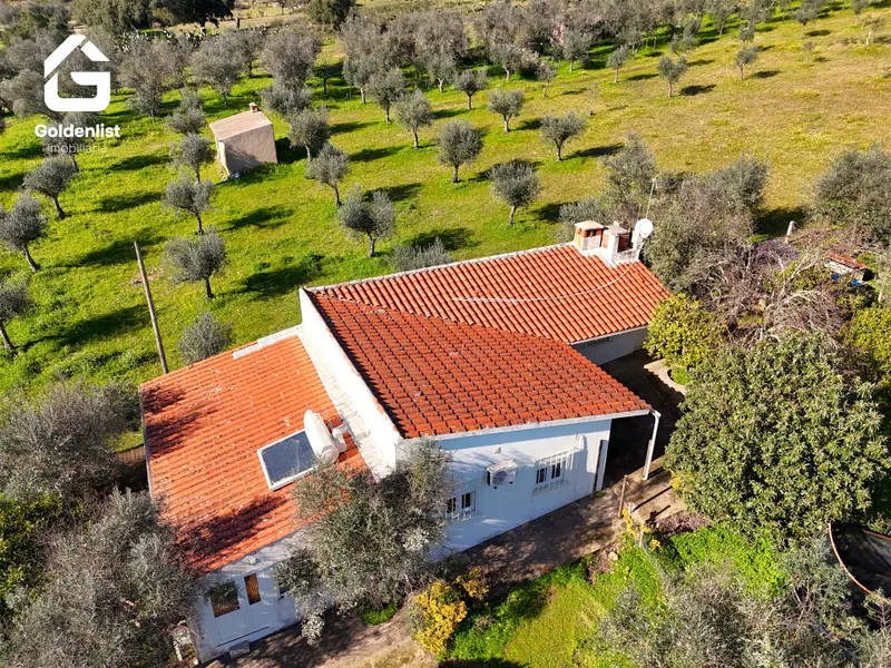 Quinta