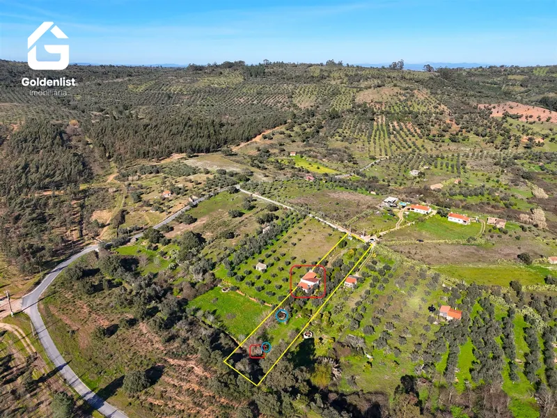 Quinta