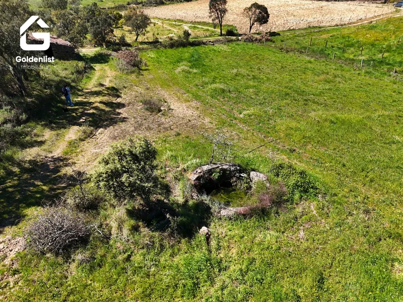 Small Farm