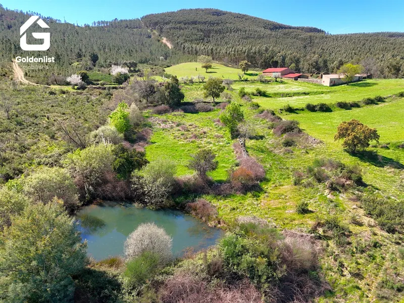 Country Estate