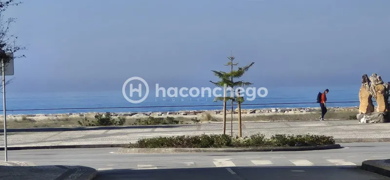 Apartamiento 2 habitaciones