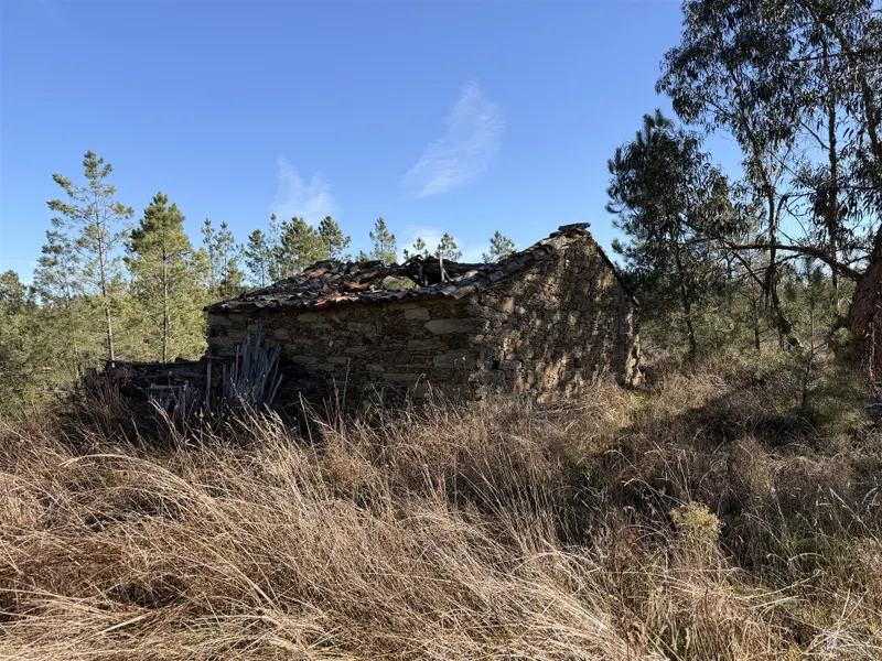 Quinta 5900m2 com ruína registada, barragem, 2 poços e eletricidade — Vilares de Baixo