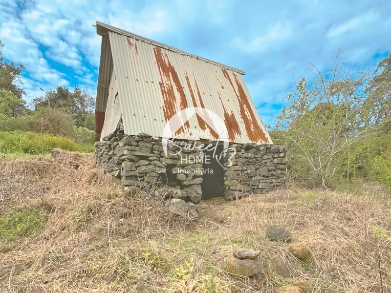 Moradia + 2 Palheiros com uma área total de 3070m2