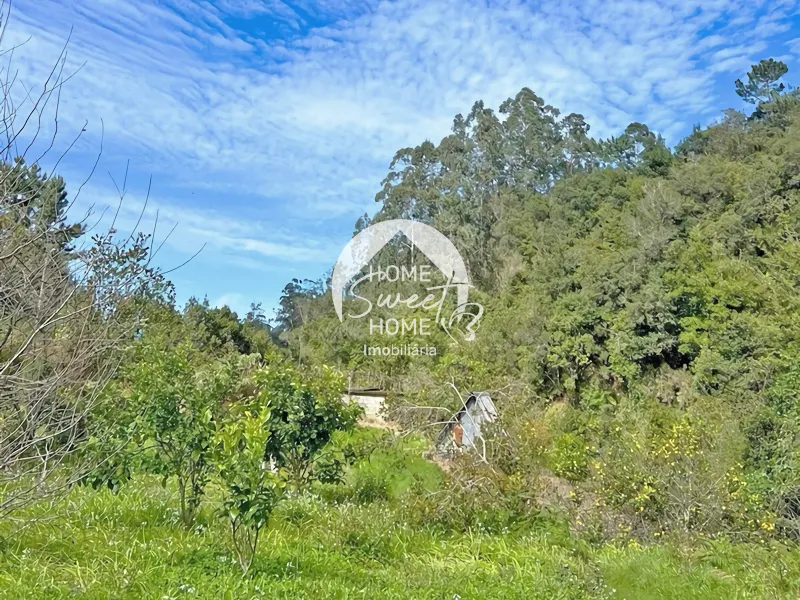 Moradia + 2 Palheiros com uma área total de 3070m2