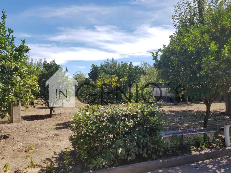 &#1044;&#1086;&#1084; &#1058;7