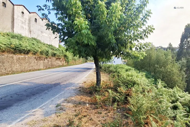 Terrain rural
