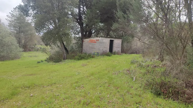 Terrain rural, Águas, Penamacor