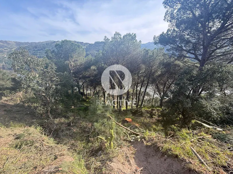 6 Land Plots for Sale – Quinta do Fojo, Baião