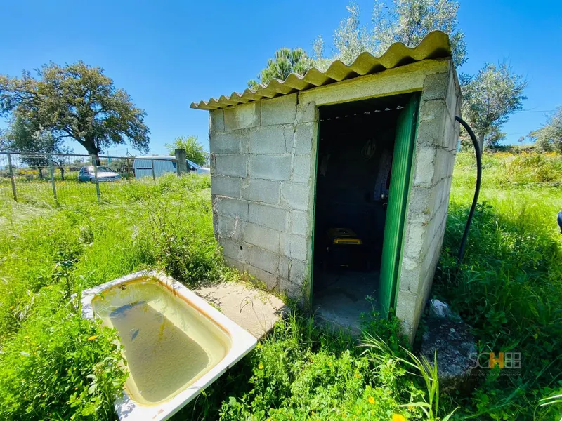 Land 15 minutes from Castelo Branco