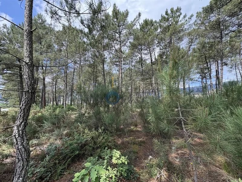Lote de Terreno