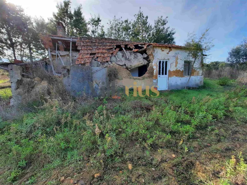 Terreno com 15.100 m², Moradia em Ruína e Viabilidade para Segunda Construção — A 5 min de Tomar