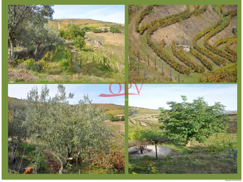 Fattoria / Cascina / Casale 4 Vani