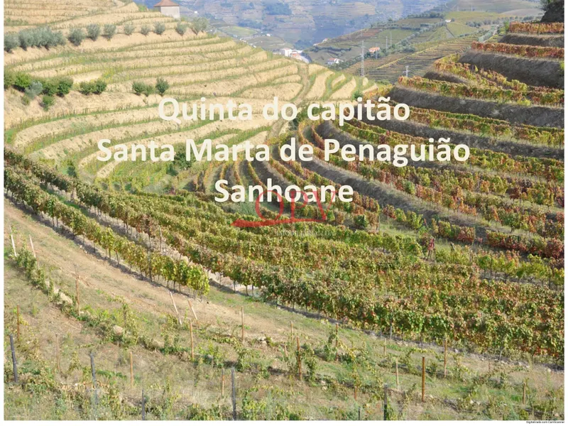 Fattoria / Cascina / Casale 4 Vani