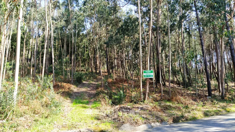 terreno caminha - santo antão