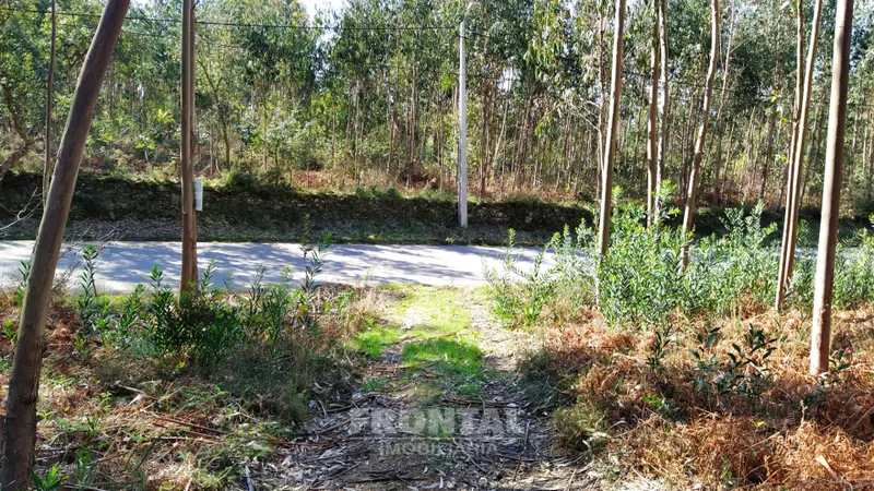 terreno caminha - santo antão