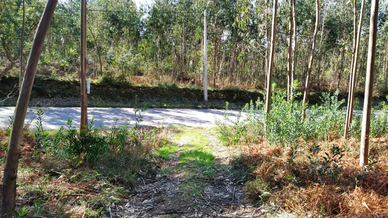 terreno caminha - santo antão