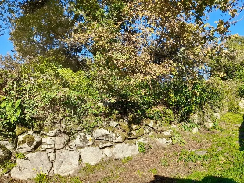 Real estate land Studio