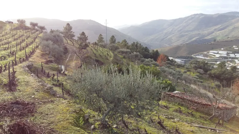 Lote de Terreno