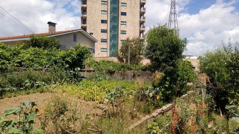 Excelente casa térrea e terreno